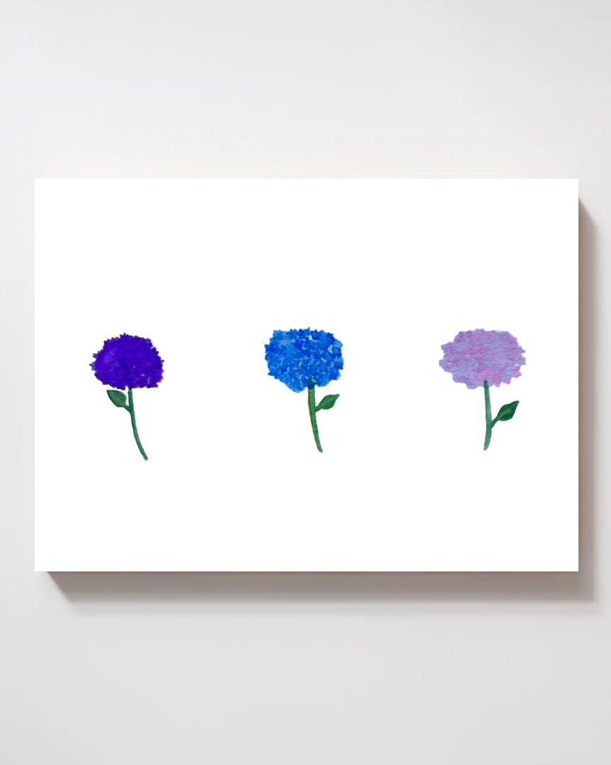 Three Hydrangeas