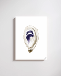 Indigo Oyster