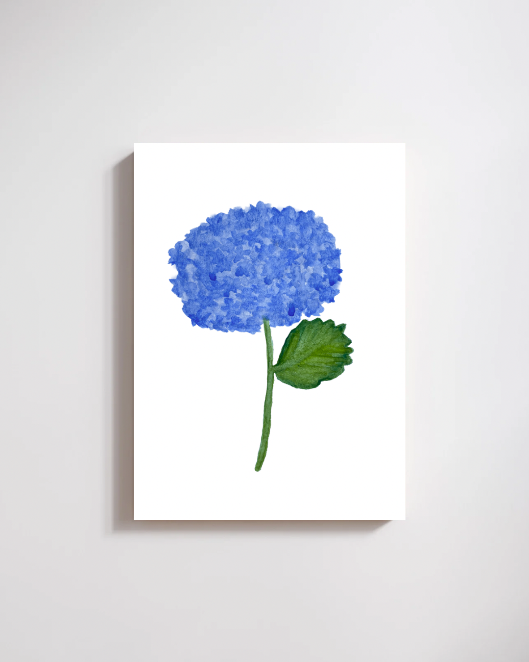 Hydrangea Bloom