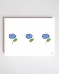 Hydrangea Trio